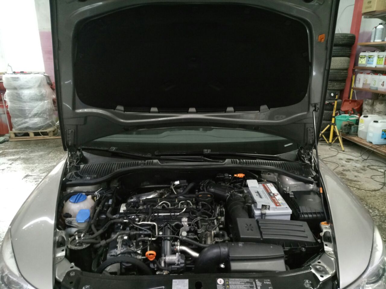 Фото от 22.04.2018 19:25:59