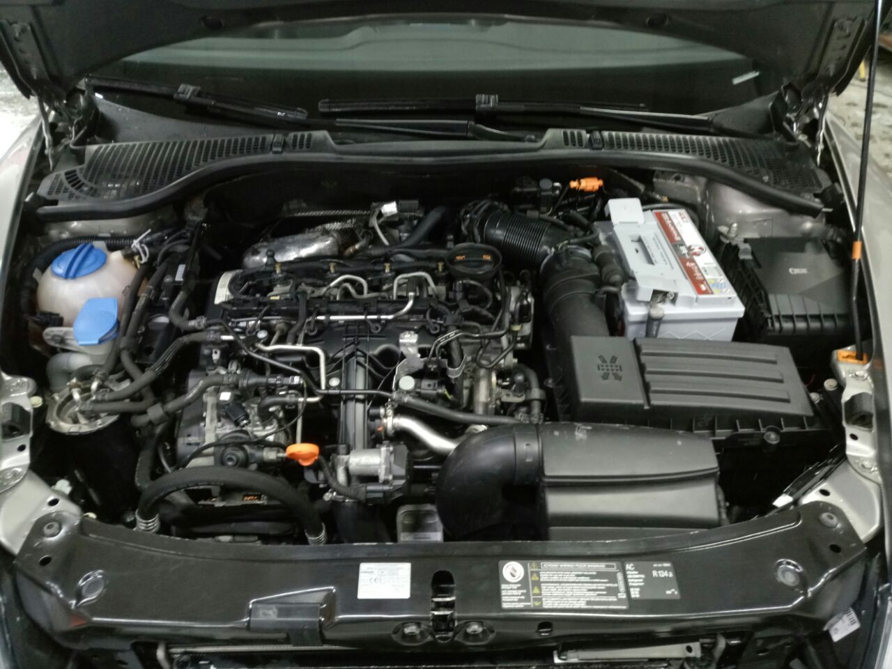 Фото от 22.04.2018 19:25:59